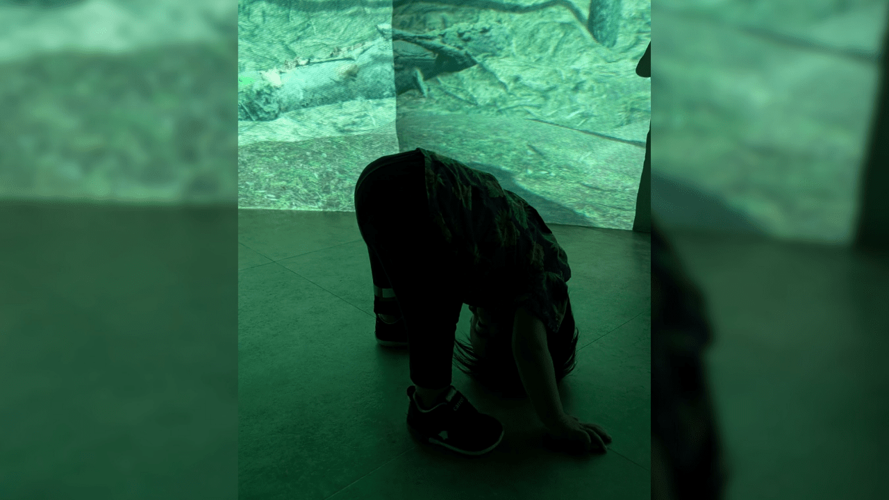 パノラマスクリーンの広場を満喫する子ども