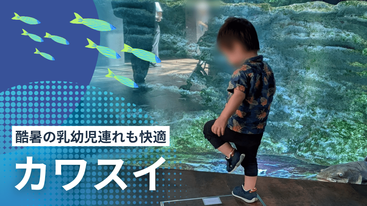 酷暑の乳幼児連れも快適　カワスイ